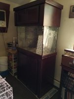 20160625_150801.jpg