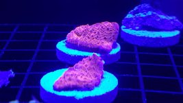 20160414_111719.jpg