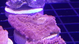20160413_142254.jpg