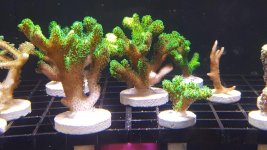 20160413_142557.jpg