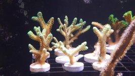 20160413_142617.jpg