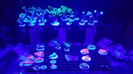 20160414_111626.jpg