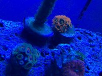IMG_0553.jpg
