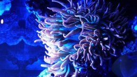 20150930_003237.jpg