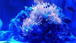 20151105_201854.jpg