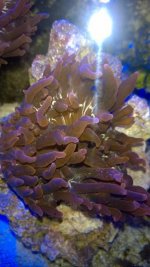 WP_20160217_003.jpg