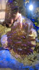 WP_20160217_001.jpg