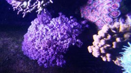 20151214_105047.jpg