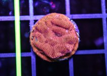 IMG_8926.jpg