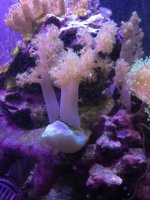 IMG_2726.jpg