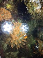 IMG_7267.jpg