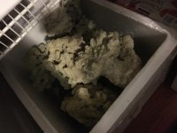 IMG_0130.jpg