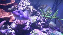 20160209_170459.jpg