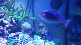 20160209_170448.jpg