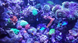 20160218_175446.jpg