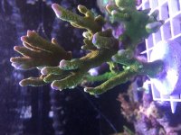 IMG_2039.jpg