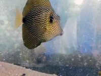 20160630_180423.jpg