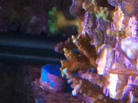 IMG_2610.jpg