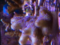 IMG_2606.jpg