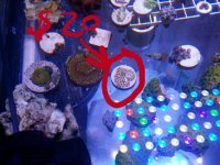 2016-04-15 16.23.59.jpg