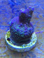 IMG_1048.jpg