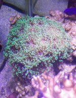 20160324_171611-1.jpg