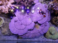 20160415_123739.jpg