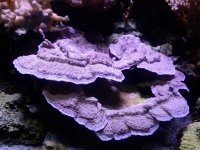 20160415_123920.jpg