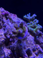IMG_0180.jpg