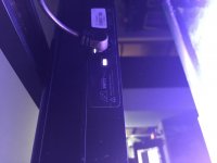 IMG_1991.jpg