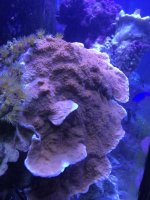IMG_3559.jpg