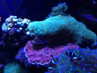 IMG_2424.JPG
