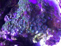 IMG_1506.jpg