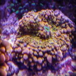 IMG_20160926_202005.jpg