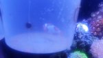 20160416_200425.jpg
