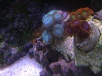 IMG_0892.jpg