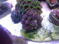 IMG_0891.jpg