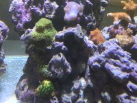 IMG_4405.JPG
