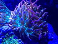 IMG_0539.jpg