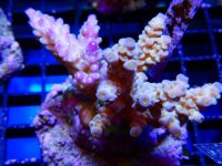 DSCN3469.JPG