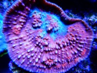 DSCN3476.JPG