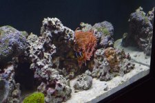 DSC_0008.jpg