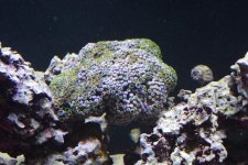 DSC_0011.jpg