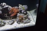 DSC_0012.jpg