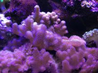 IMG_7618.jpg