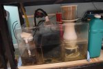 DSC_0017.jpg