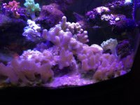 IMG_7619.jpg