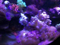 IMG_7509.jpg