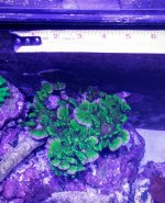 20160415_010823.jpg