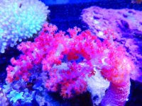 DSCN3493.JPG